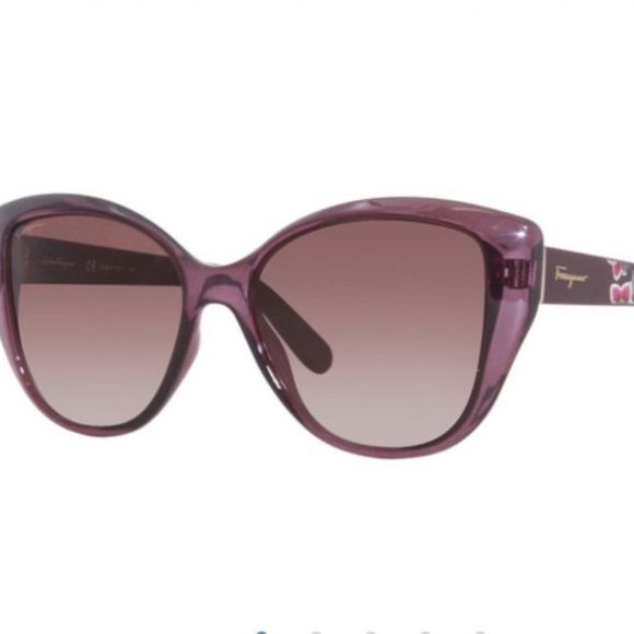 Salvatore Ferragamo Women’s Sunglasses main image 8